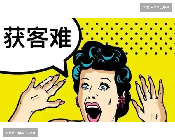 感恩节后的电商“消化不良”:网络应用安全问题迫在眉睫 感恩节后的电商“消化不良”:网络应用安全问题迫在眉睫